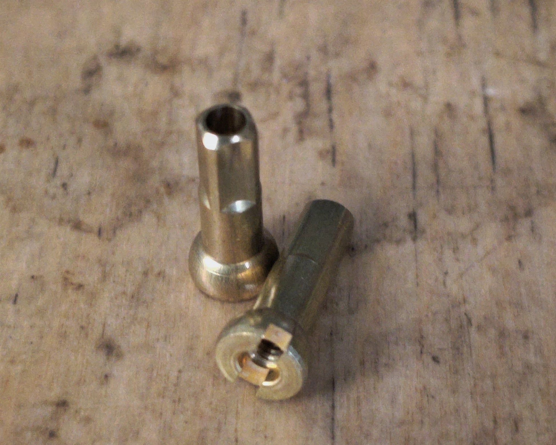 RAWR! Brass Nipples