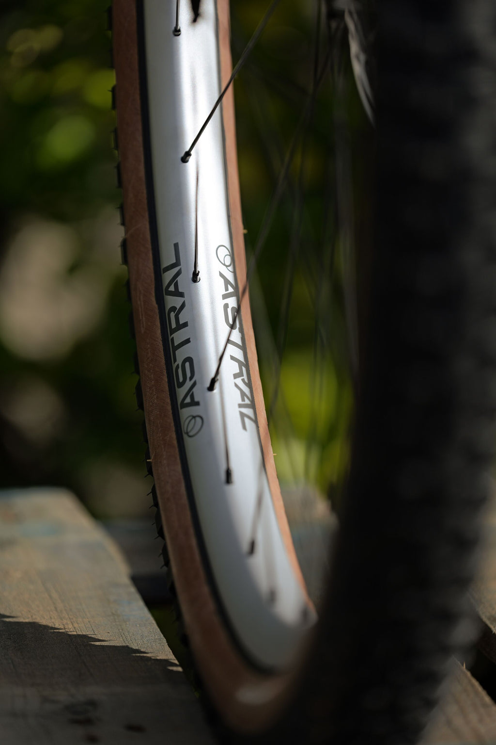 Limited Edition: Serpentine Rim, Alloy, 29" - Matte Silver