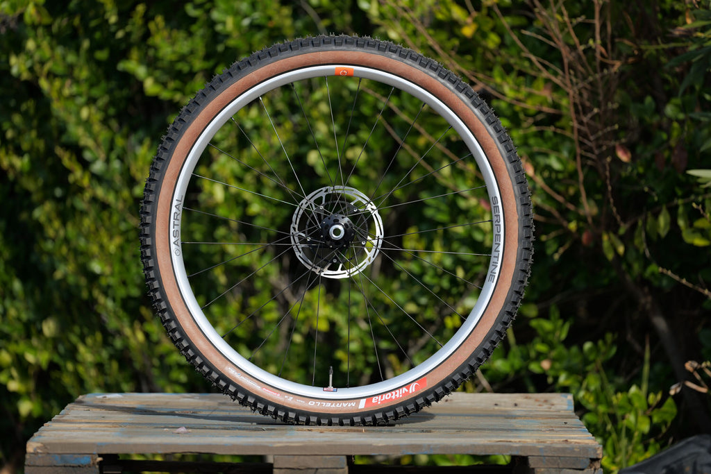 Limited Edition: Serpentine Rim, Alloy, 29" - Matte Silver