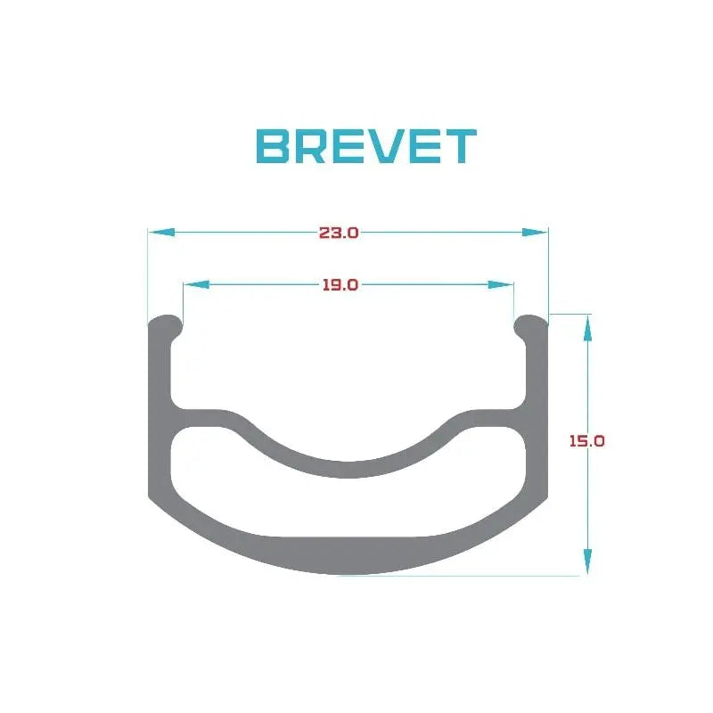 Pacenti Brevet Rim 650B - 32 Holes