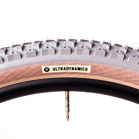 MARS Race - 29x2.2??"