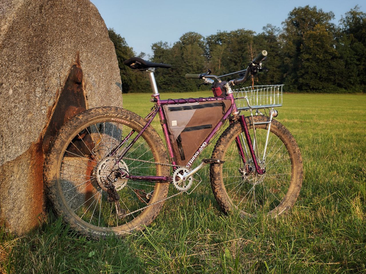 Wald 137 Basket