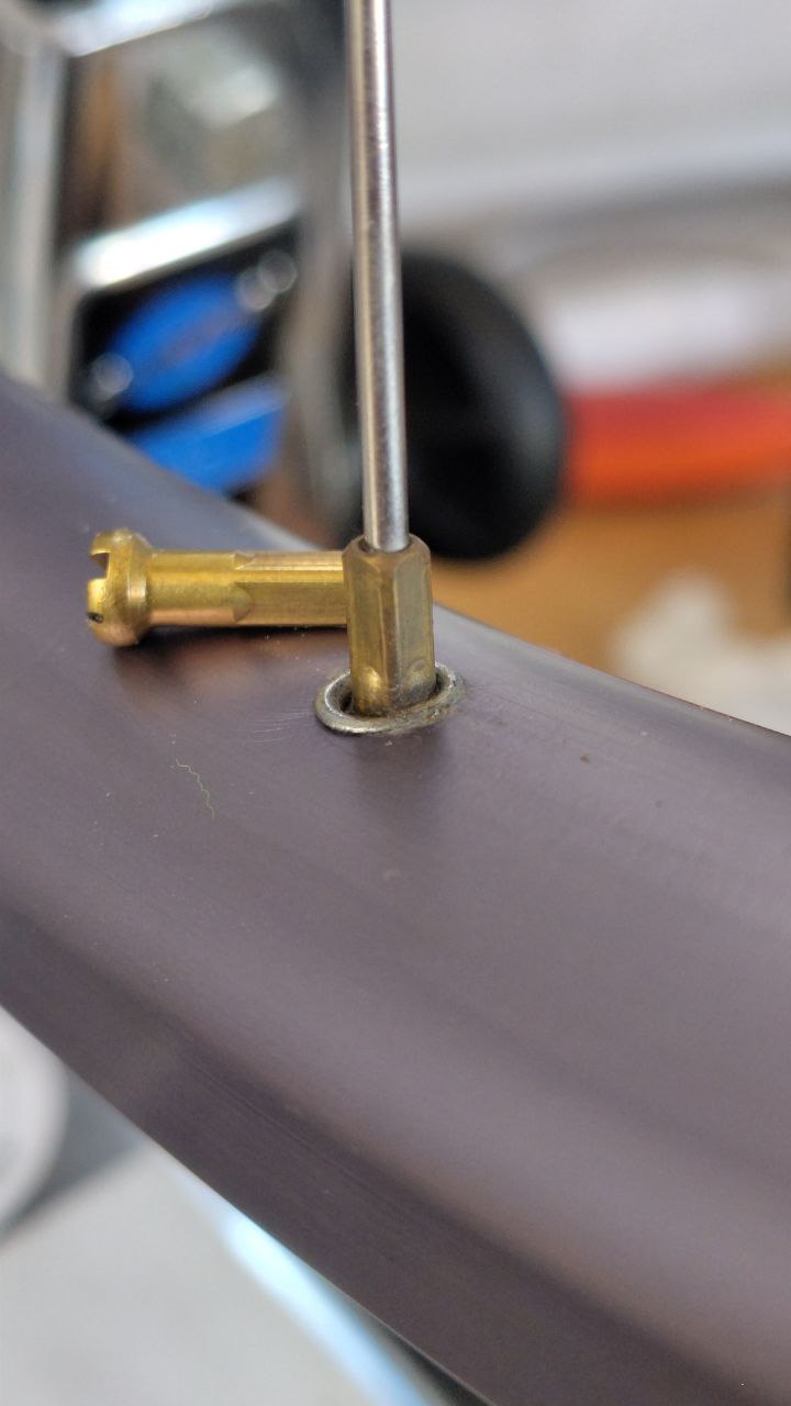 Mone Raw Brass Spoke Nipples